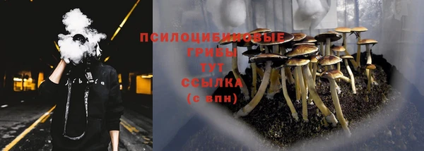 скорость mdpv Козельск